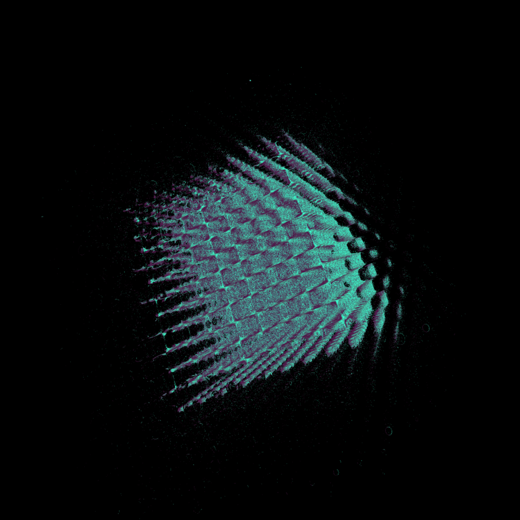 [object Module]